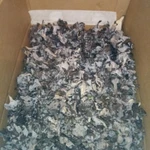 фото Чёрная лисичка