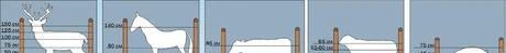 Фото Электропастух для Сельхоз животных