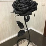 Фото №6 Ростовые цветы