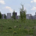 фото Продаю участки в Новой Москве: 6–10 соток рядом с метро