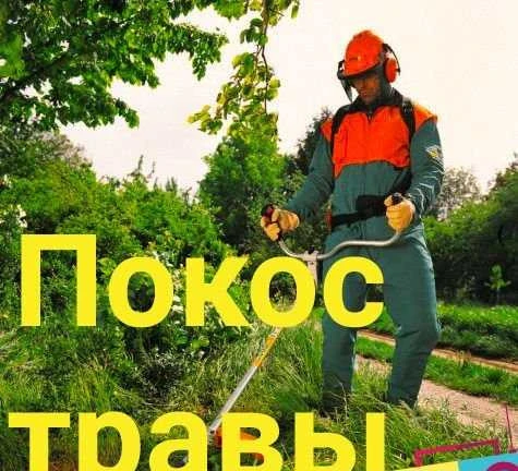 Фото Спиливание деревьев, Покос травы