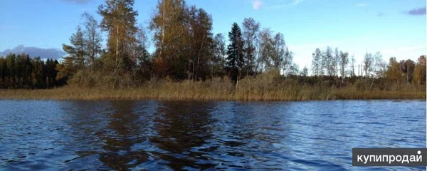 Фото Гектары вашей мечты Выход на реку и в лес,Тверская обл