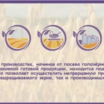 Фото №4 Хлопья овсяные без глютена Россия