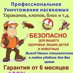 Дезинсекция. Профессиональное уничтожение насекомы