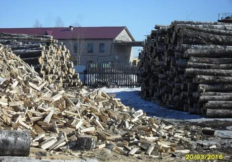 Фото ДРОВА ольха,береза,осина в Калязине.