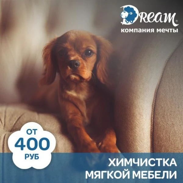 Фото Химчистка мягкой мебели и ковров. Уборка помещений.