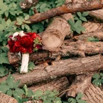 Фото №5 Оформление свадьбы. Делаю вас чуточку счастливей