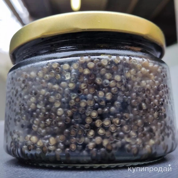 Фото Черная икра