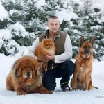 Фото №5 Дрессировка собак Сергиев Посад 