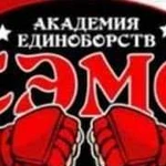 Академия единоборств сэмс