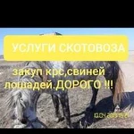 Услуги скотовоза