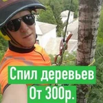 Спил обрезка деревьев