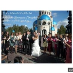 Фото №2 Голуби .