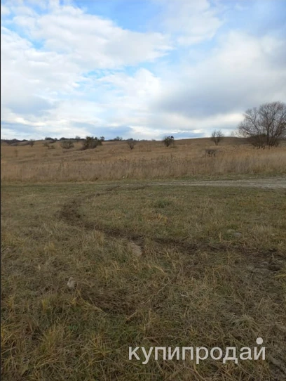 Участок сельхозназначения 500 Га