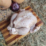 Фото №5 Домашние мясо курочки и кролика.