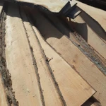 Фото №2 Доска из Липы