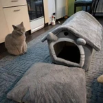 Фото №4 Домик для кошки или собачки