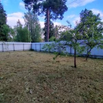 Фото №21 Прокосили траву и ХРЕН В ПОС.ВЫРИЦА. ДО и ПОСЛЕ.