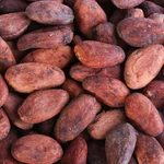 фото Какао бобы