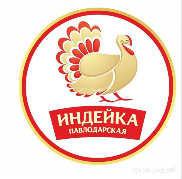 Фото Гузки индейки