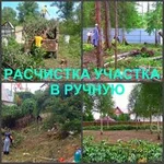 Расчистка участков