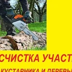 Расчистка,уборка участка.Спил, Покос, Корчевание