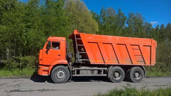 Фото Вывоз и уборка мусора из квартиры