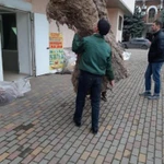 Фото №2 Грузоперевозки недорого
