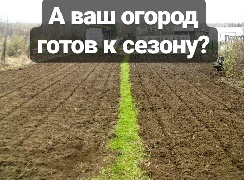Фото Вспашка земли мотоблоком