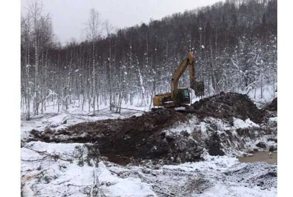 Фото Аренда экскаватор Caterpillar 320