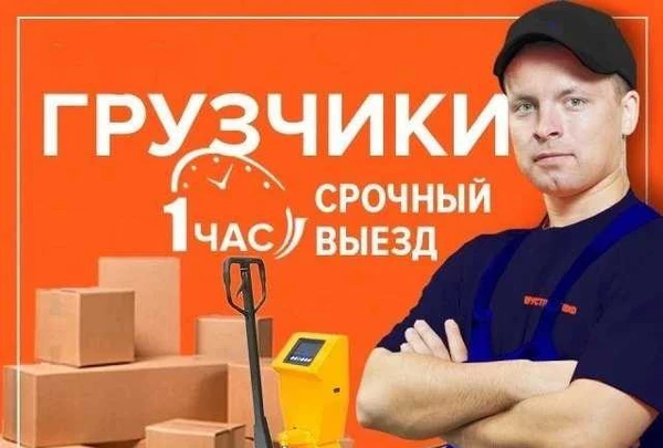 Фото Услуги грузчиков. Без поэтажности. Срочная подача