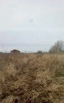 Фото Сельхоз услуги