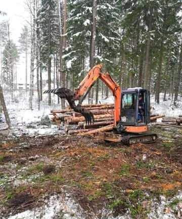 Фото Валка деревьев, выкуп древесины, расчистки