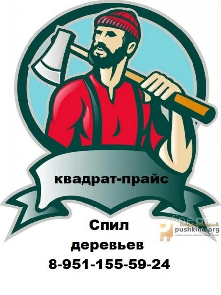 Фото СПИЛ ДЕРЕВЬЕВ