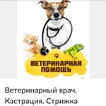 Ветеринар. Ветеринарный врач. Кастрация.Вакцинация