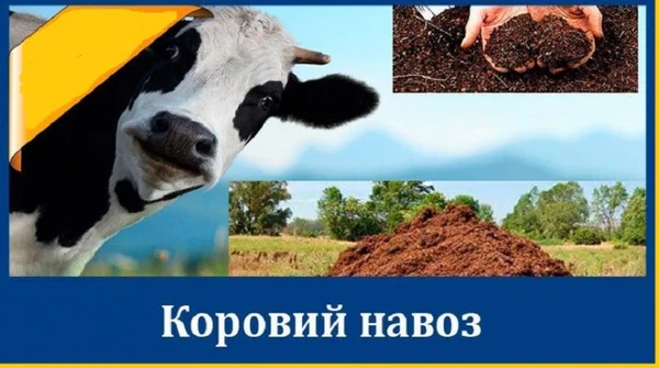 Фото Продам навоз перегнивший в мешках. Перегной ДЕШЕВО