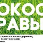 Покос травы, спил молодых деревьев, кустарников