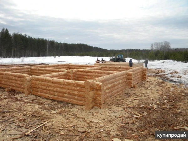 Фото Срубы из сосны ручной рубки с доставкой