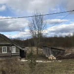 Фото №2 Удаление аварийных сложных деревьев спил