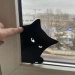 Фото №2 Подглядывающий кот в окно