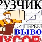 Вывоз мусора,веток,старой мебели