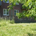 Фото №5 Покос травы триммером