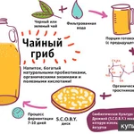 Фото №7 Чайный Гриб Комбуча Фанго