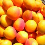 Фото №3 Иранские томаты, огурцы, персики и другие фрукты оптом