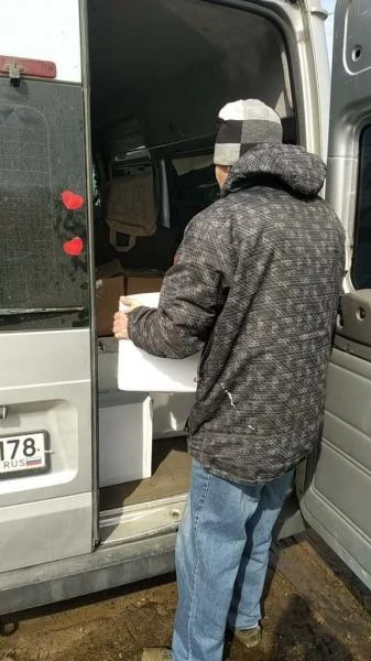 Фото Услуги грузчиков