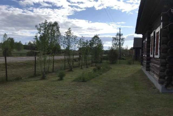 Фото Покос травы,кустарник. Любые виды работ по участку