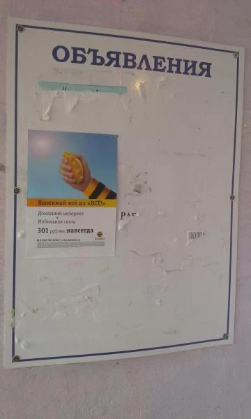 Фото расклейка объявлений и плакатов