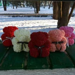 Мишка из роз