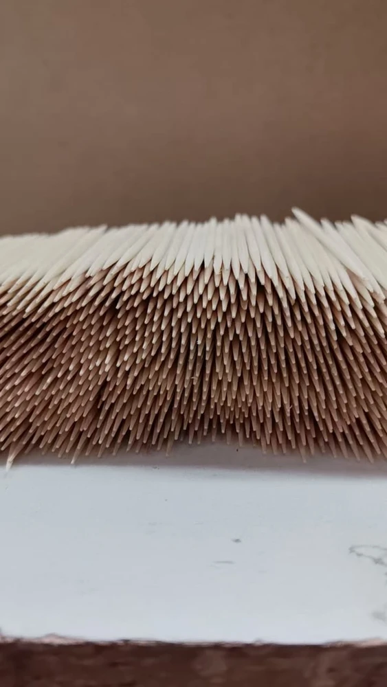 Фото Зубочистки березовые