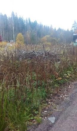 Фото Продается земельный участок в пос. Пальцево